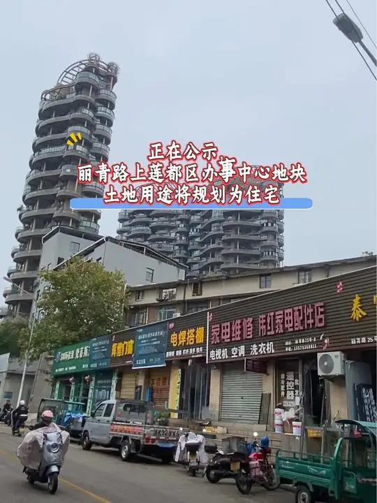 丽水大洋路鸡图片