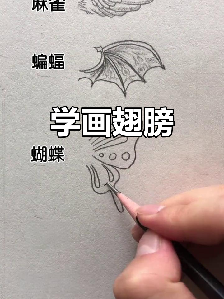 翅膀素描技巧大揭秘,轻松画出各种翅膀造型