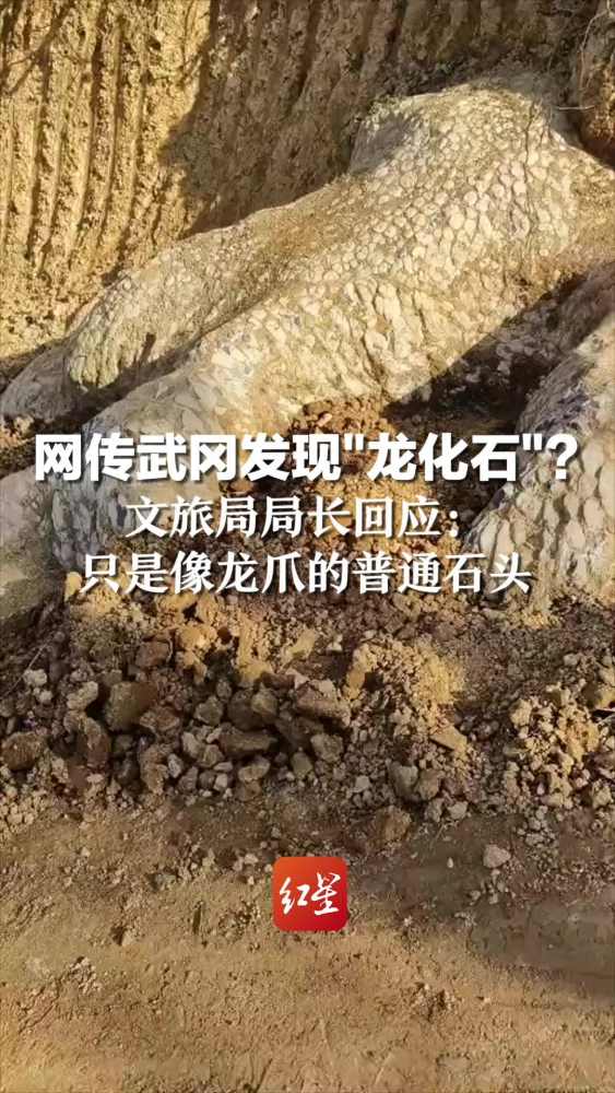 网传武冈发现“龙化石”?文旅局局长回应:只是像龙爪的普通石头