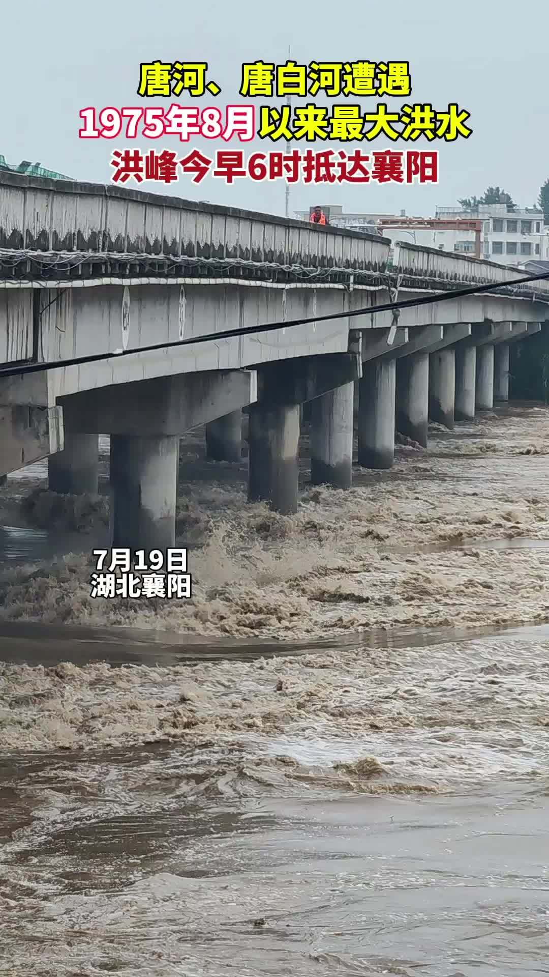 7月19日 湖北襄阳 唐河,唐白河遭遇1975年8月以来最大洪水 洪峰今早6