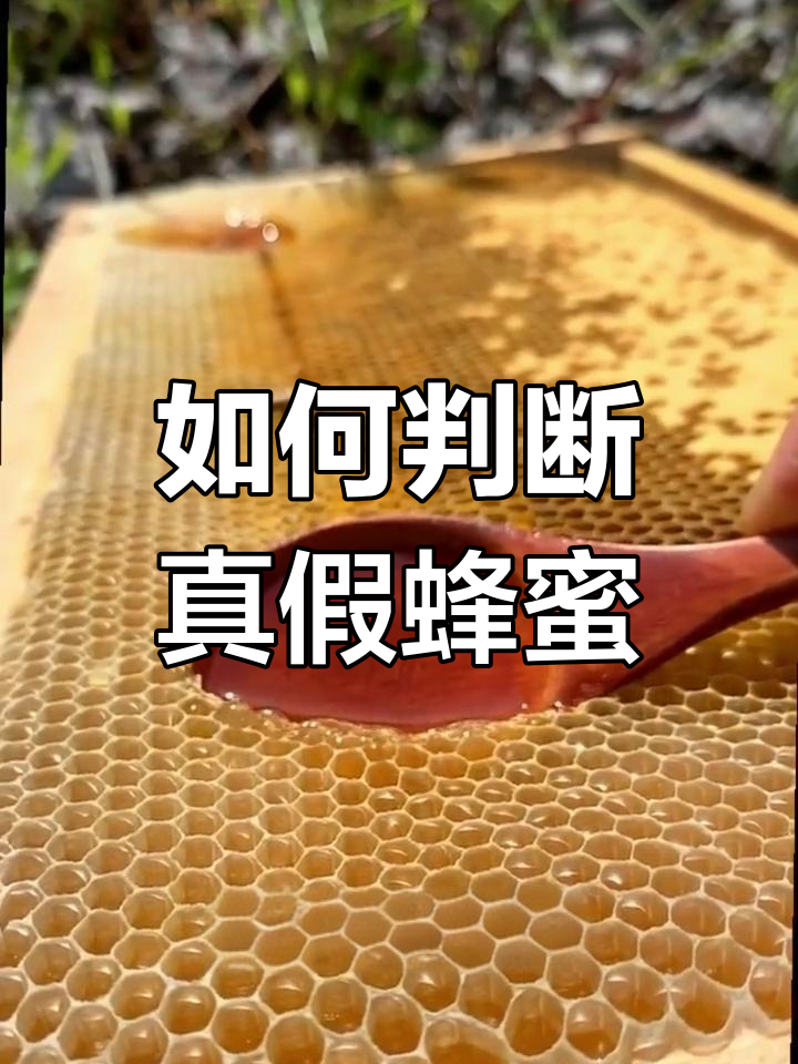 蜂蜜结晶了怎么辨别真假图片(蜂蜜结晶了还能吃吗多长时间的保质期呢)