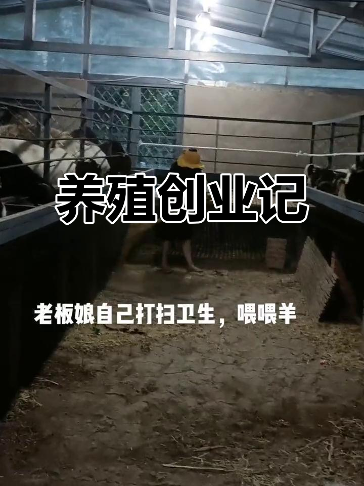 养殖创业成功案例(养殖创业计划书案例)