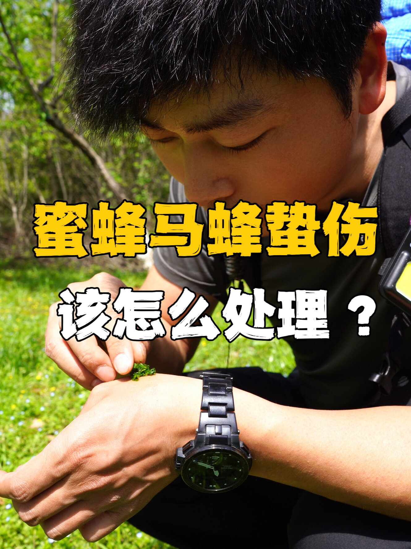 被蜜蜂马蜂蜇伤,该怎么办?-度小视