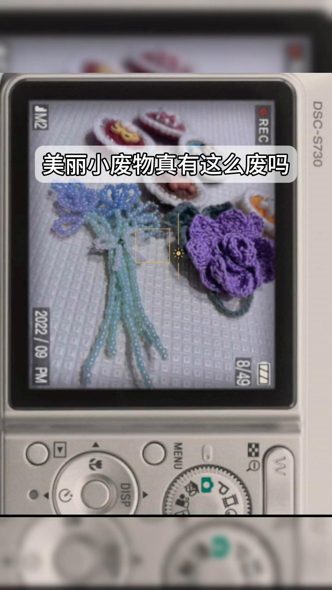 美丽小废物,真有这么废吗