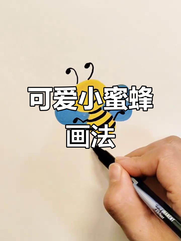 小蜜蜂简笔画,轻松学会飞行姿态