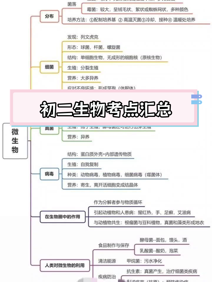 八年级生物必考知识点思维导图