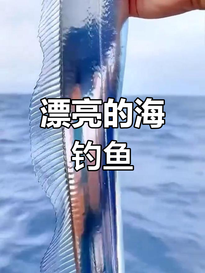 海钓中的美丽镰刀鱼