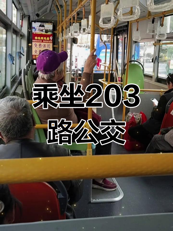 203路公交车全程实录,带你体验城市脉搏