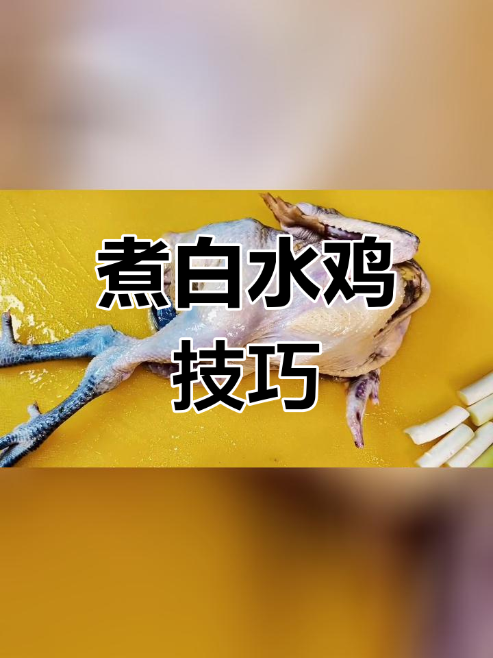 白水鸡的家常做法