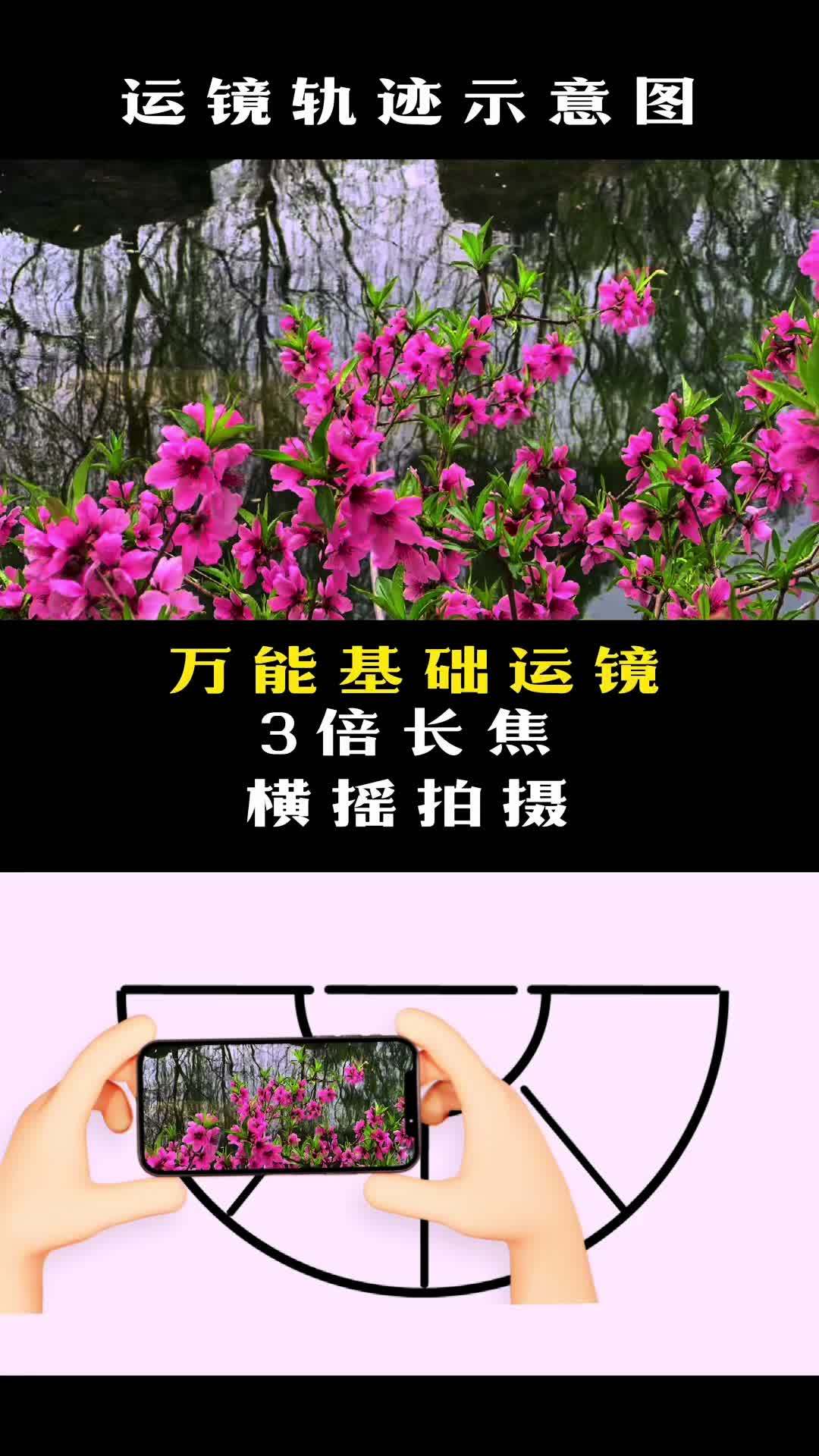 万能的拍花技巧 手机拍摄技巧 手机摄影教学 春暖花开奔你而来 治愈系