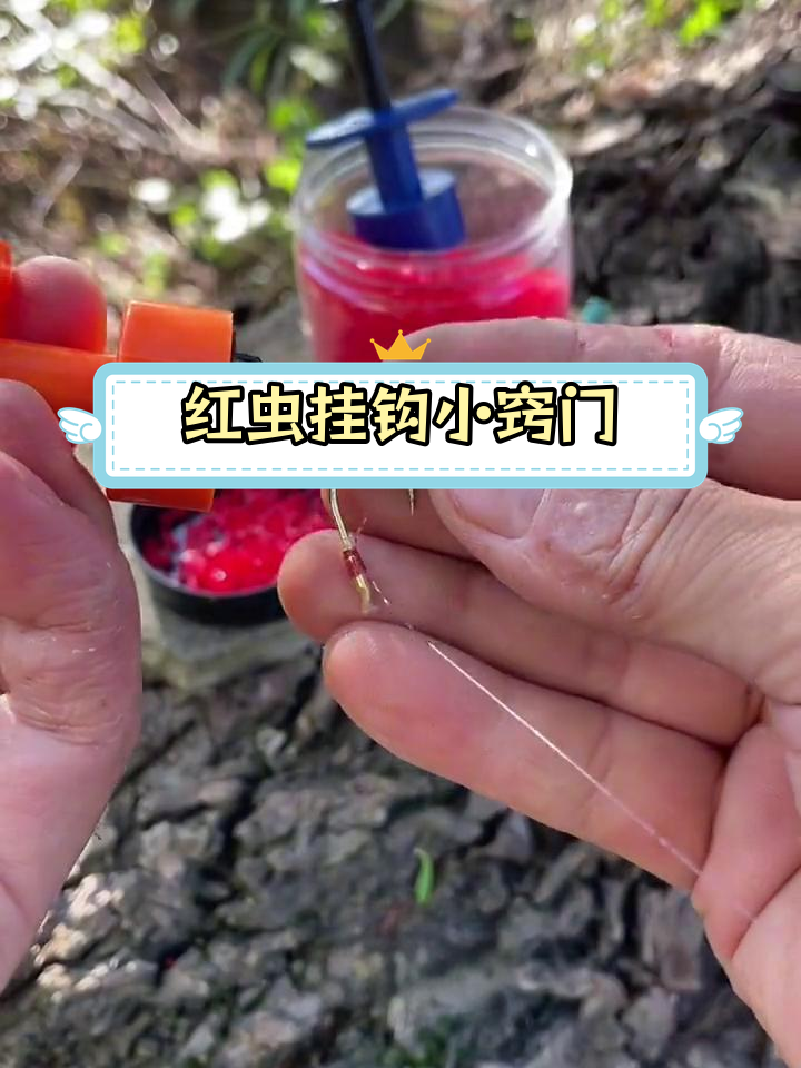 红虫挂钩技巧图片