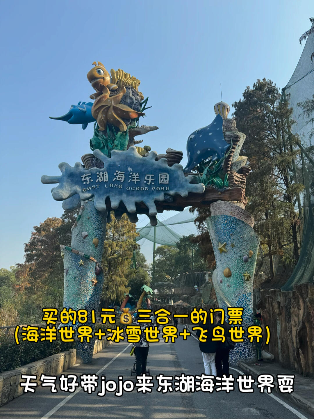 三合一门票,遛娃值得拥有!
