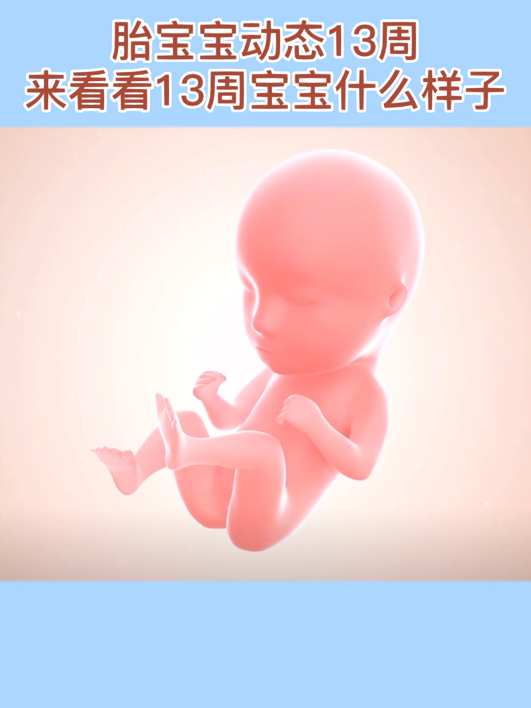 孕妇妈妈知道胎宝宝13周是什么样子吗?必看