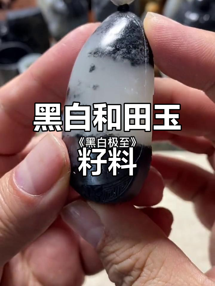 黑白和田玉籽料,意境深远,神秘魅力