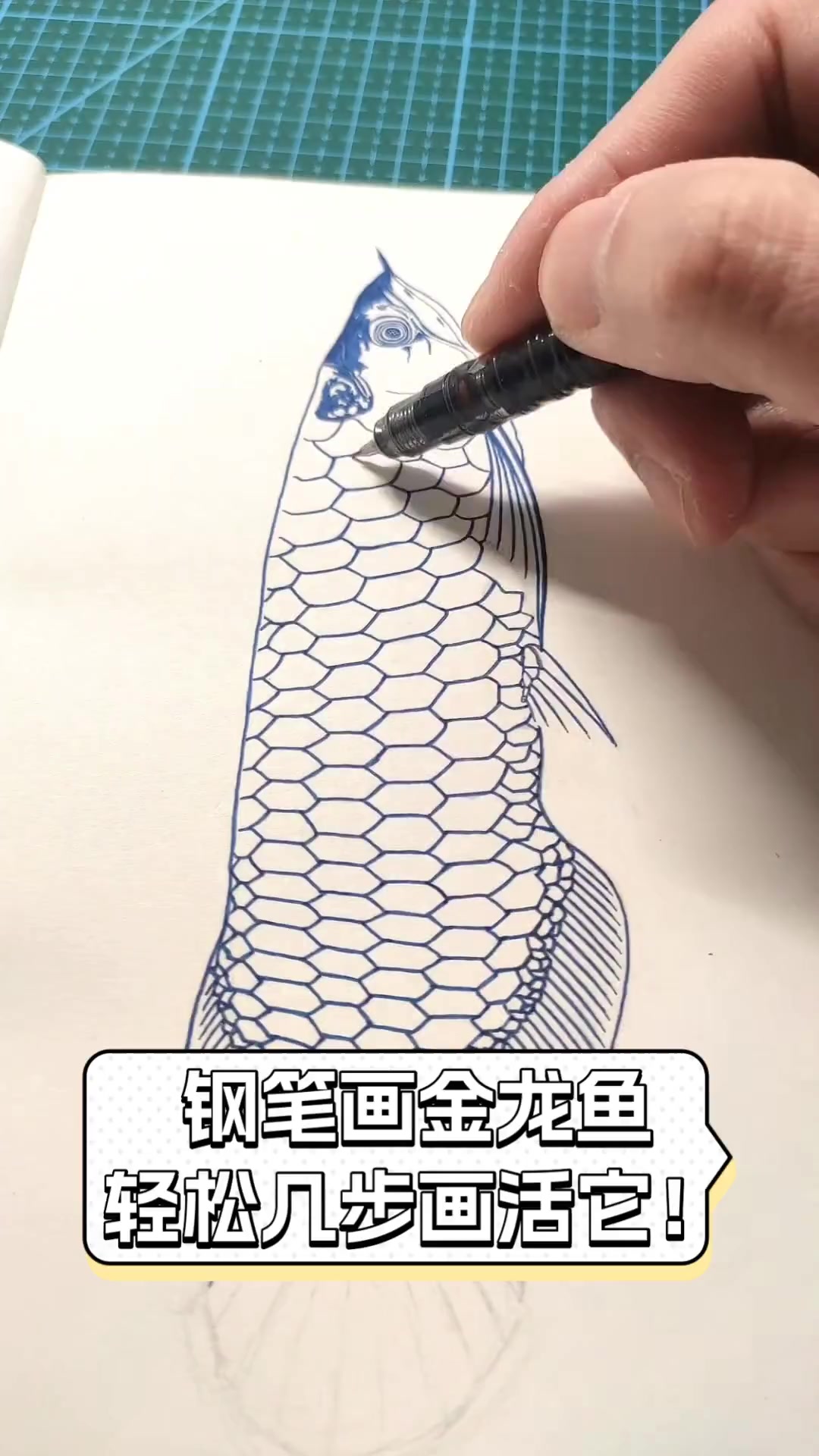 金龙鱼图片素描作品图片