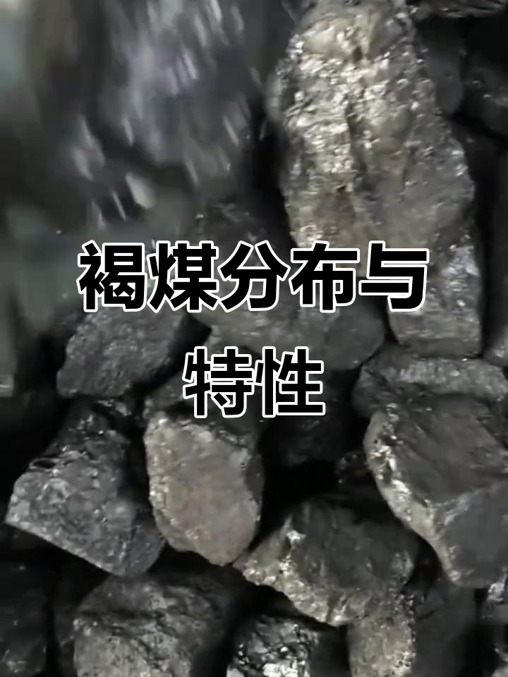 褐煤水分高,氧含量丰富,主要分布于东北和西南地区