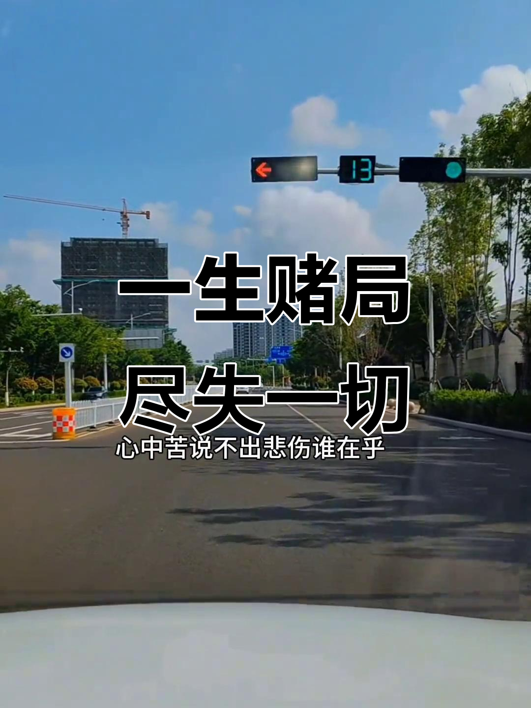 用一生赌注,却输得一败涂地,内心的痛苦谁能懂?