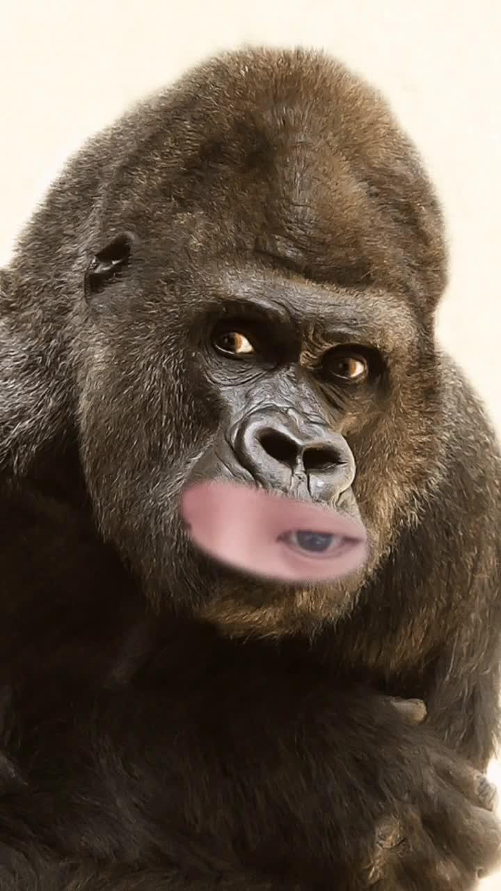 大板牙笑起来更好看 给大家表演个绝活