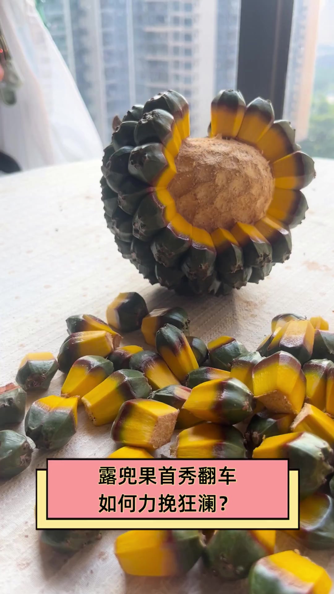 露兜果首秀翻车,如何力挽狂澜?