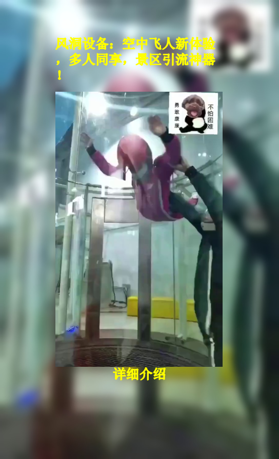 风洞设备:空中飞人新体验,多人同享,景区引流神器!