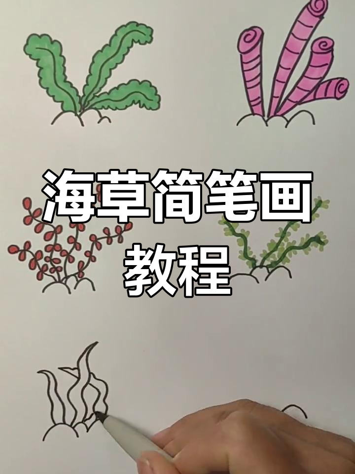 海草怎么画简单又好看图片