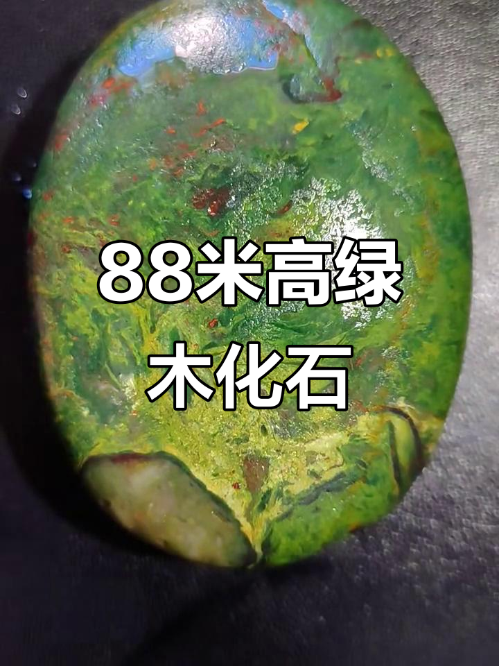 88米高的绿木化石,震撼来袭!