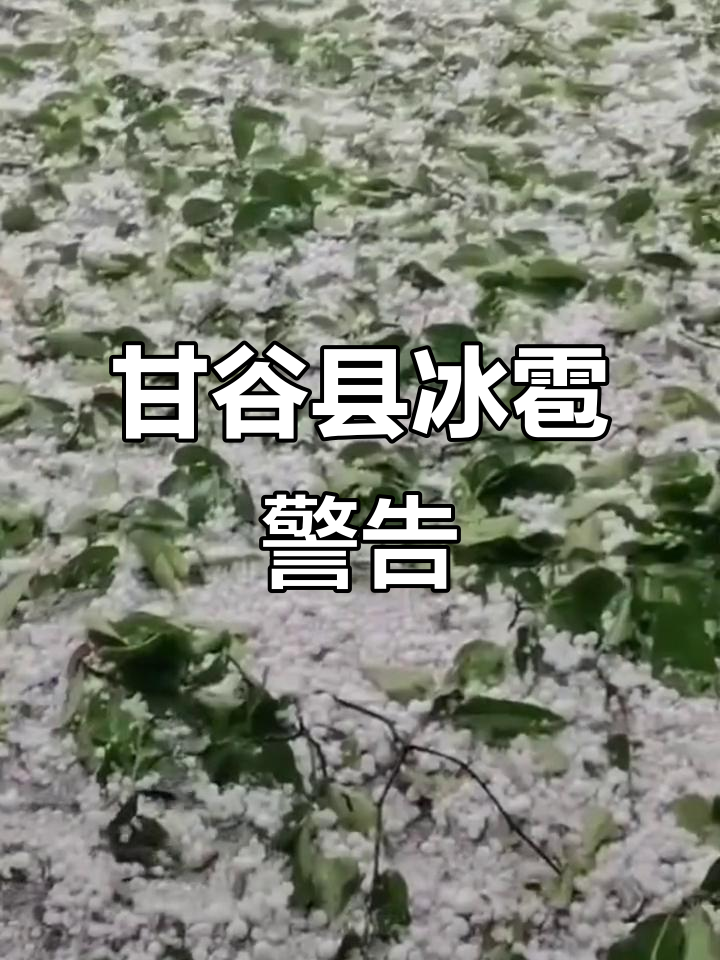 甘肃甘谷天气预报预报