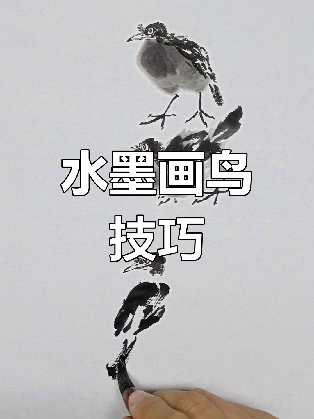 学会水墨画小鸟,轻松掌握各种姿态