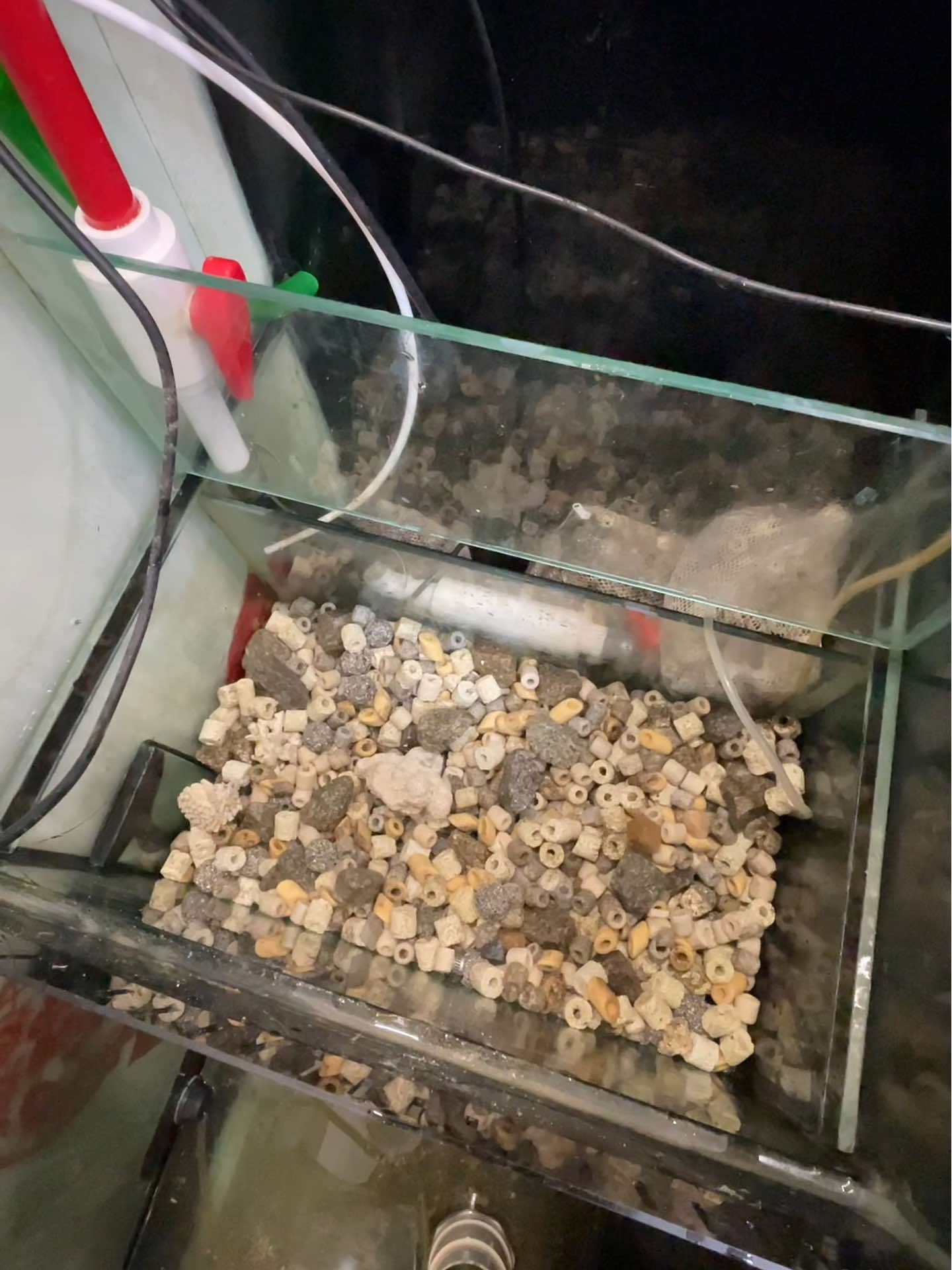 这样的锦鲤地缸过滤系统简单实用 养鱼养心 观赏鱼 锦鲤 养鱼日记