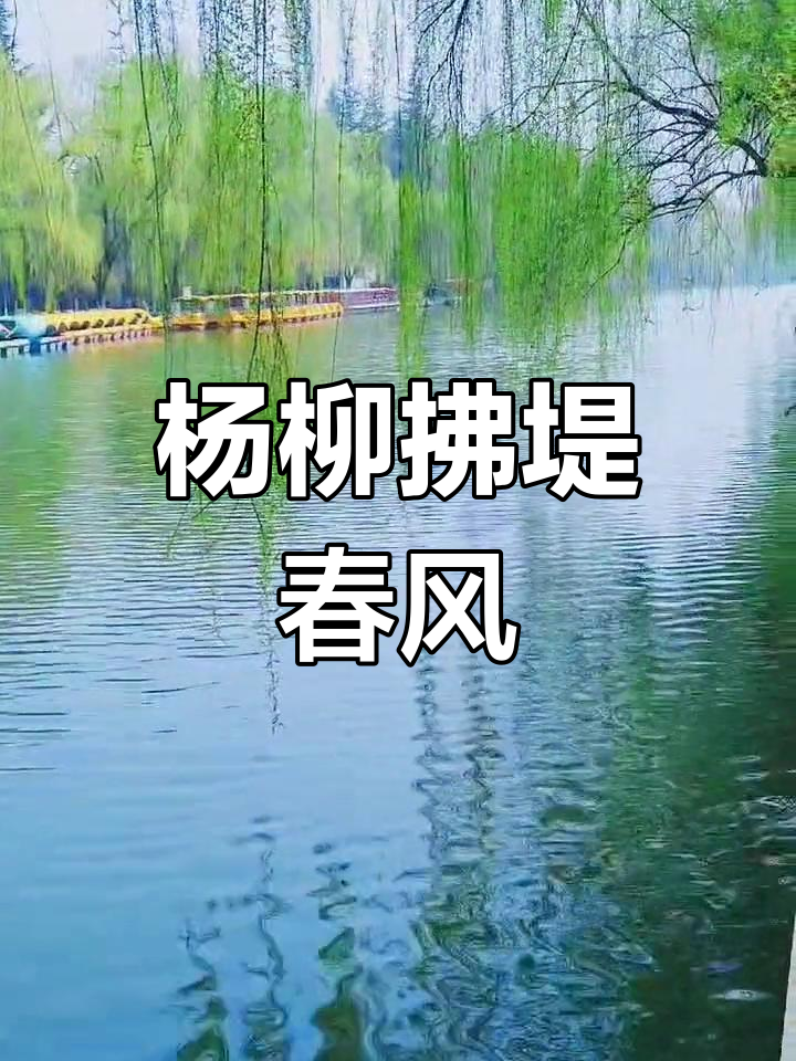 春天的脚步