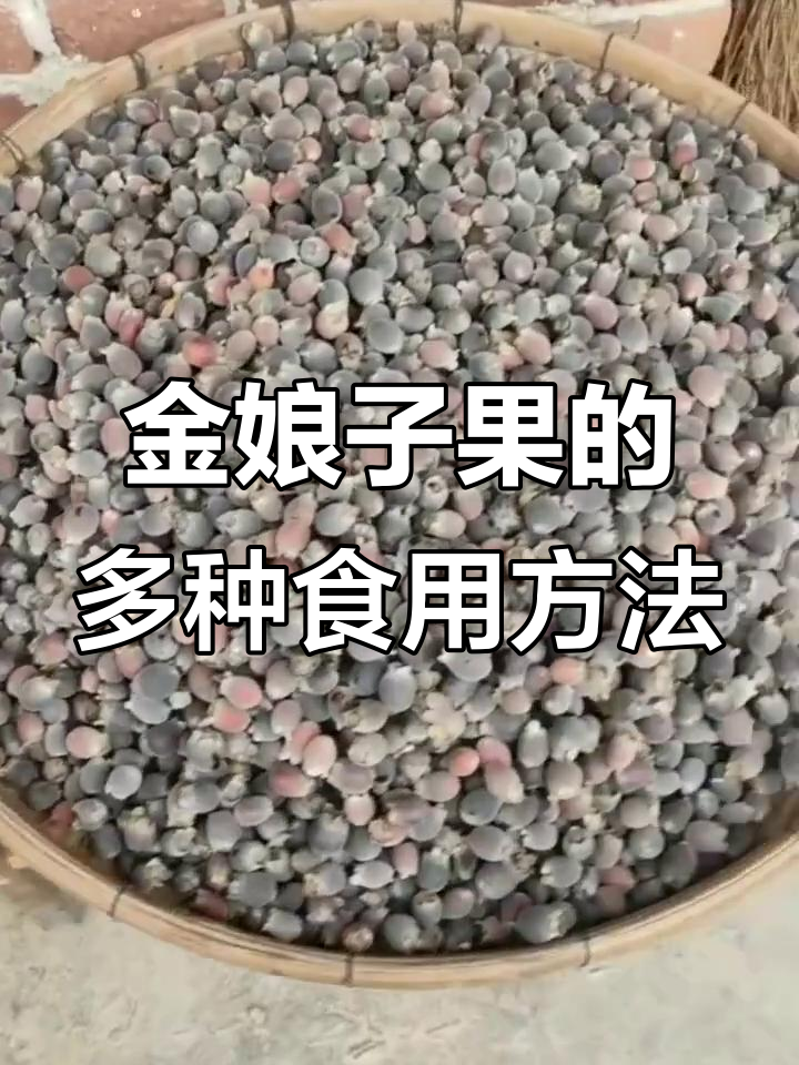 广西野生金娘子果,泡茶,泡酒皆宜,生吃更美味