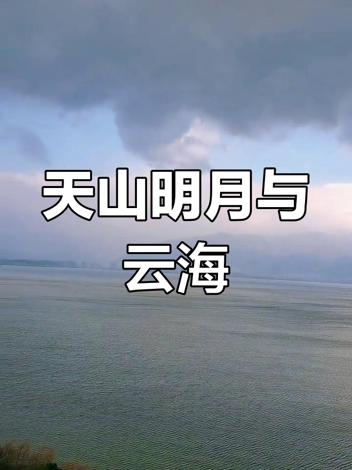 明月出天山,苍茫云海间:治愈系自然美景