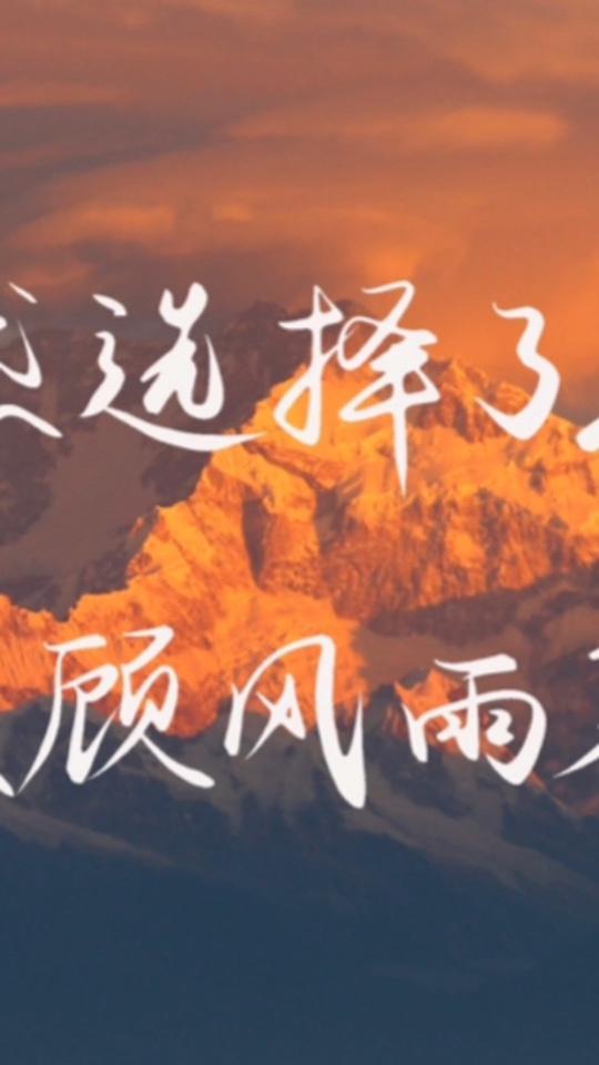 既然选择了远方,便只顾风雨兼程.