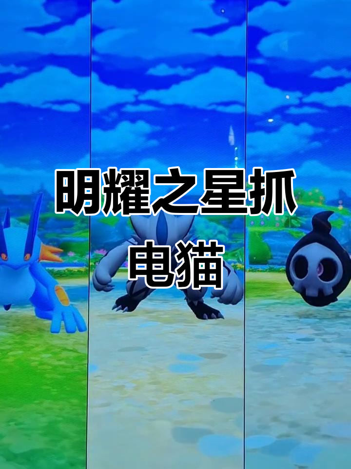 10月8日明耀之星捕捉捷拉奥拉,电猫来袭!