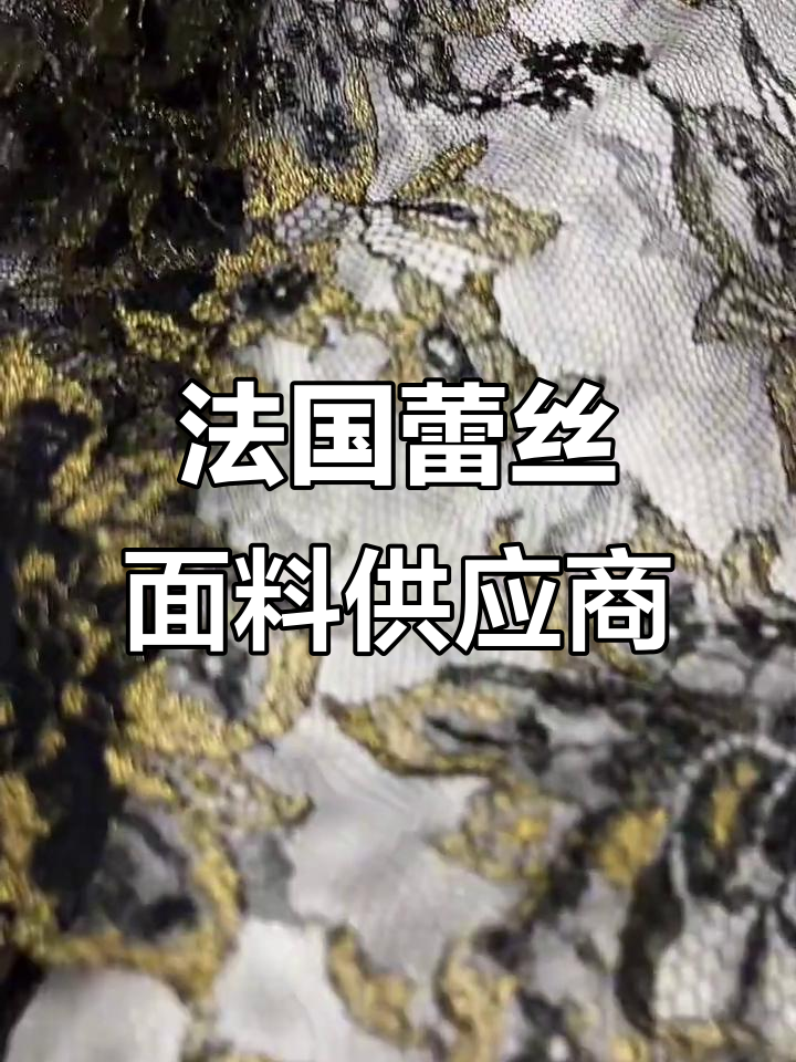 法国进口蕾丝面料,打造优雅女装