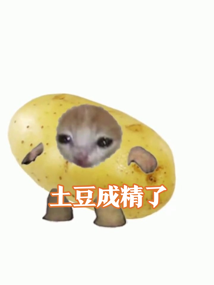 土豆成精长萌脸,小短腿摇摇晃晃像刚学会走路的宝宝