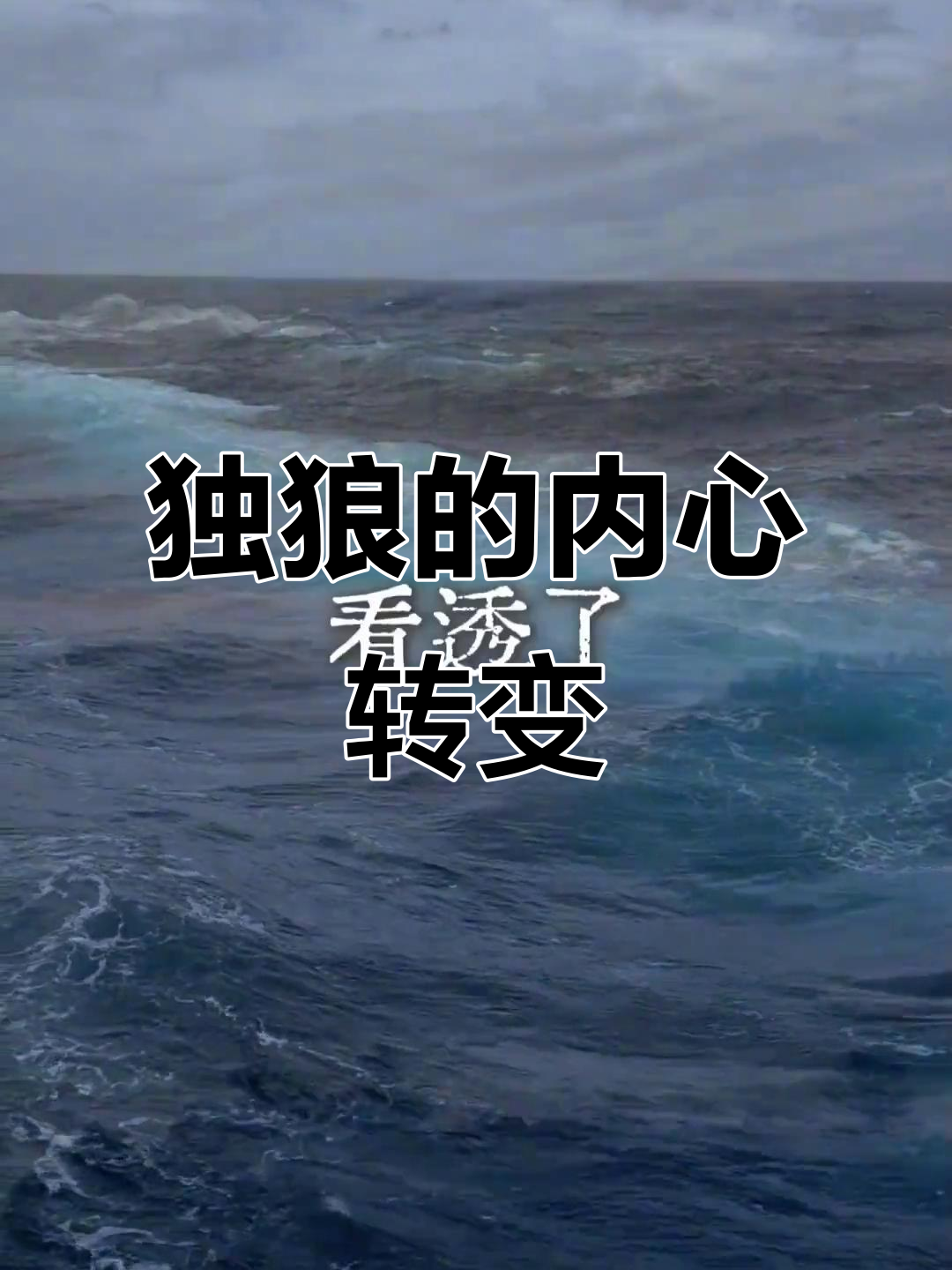 从低谷到巅峰,独狼如何蜕变重生