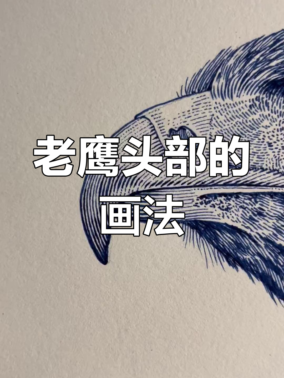 简单钢笔画:老鹰头部绘制技巧