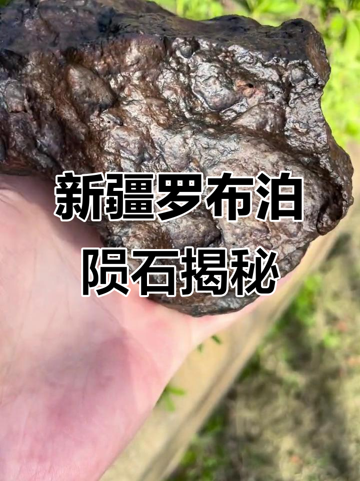 新疆罗布泊发现罕见陨石,低分化层惊艳收藏界