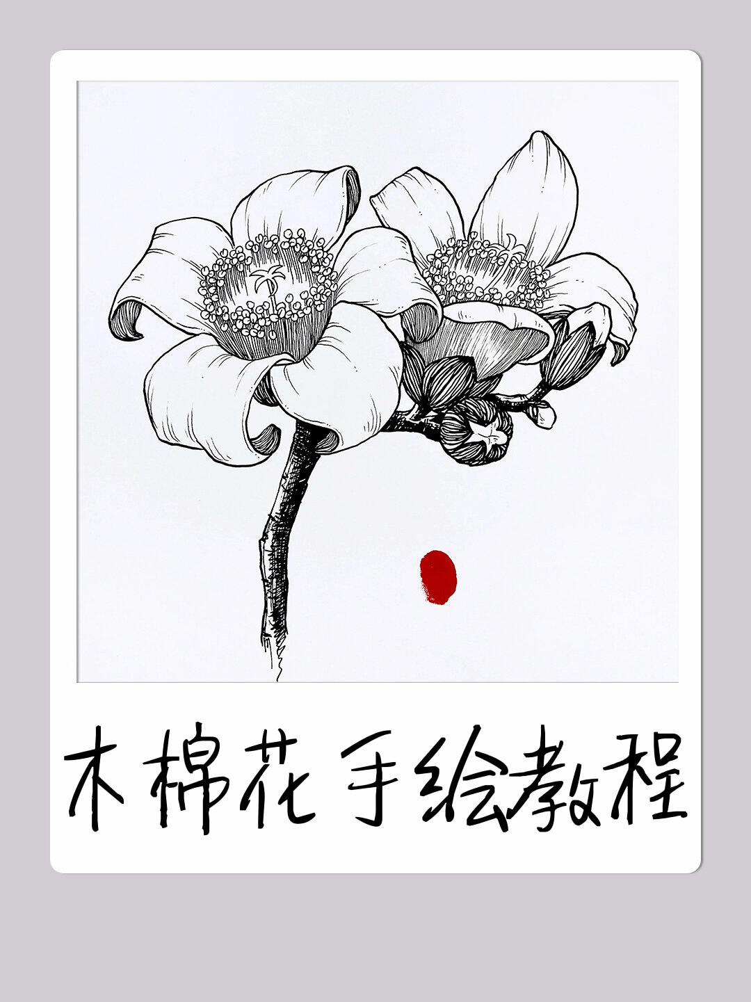 木棉花这样画