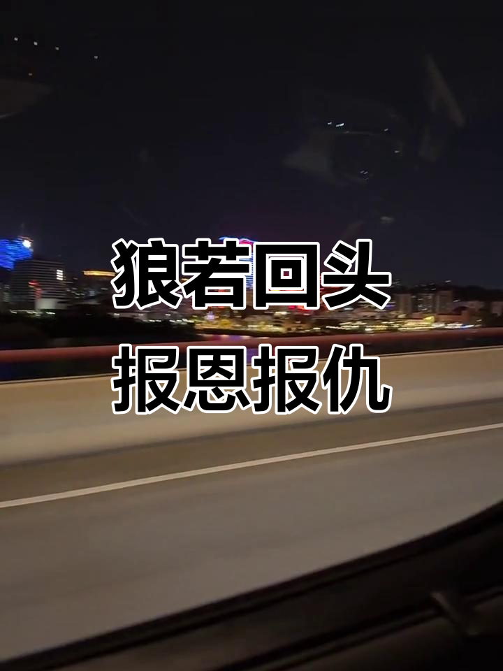 狼回头,究竟是恩还是仇?城市夜晚的惊悚故事