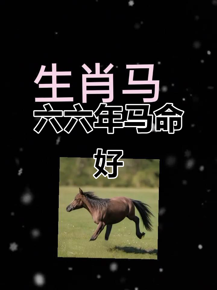 今年二月生肖马的运势如何(属马二月财运)