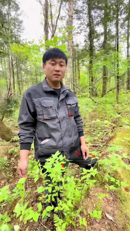 23.3万次播放.2022-05-233349珍宝岛卢小开19.