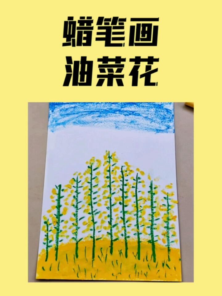 蜡笔画油菜花教案图片