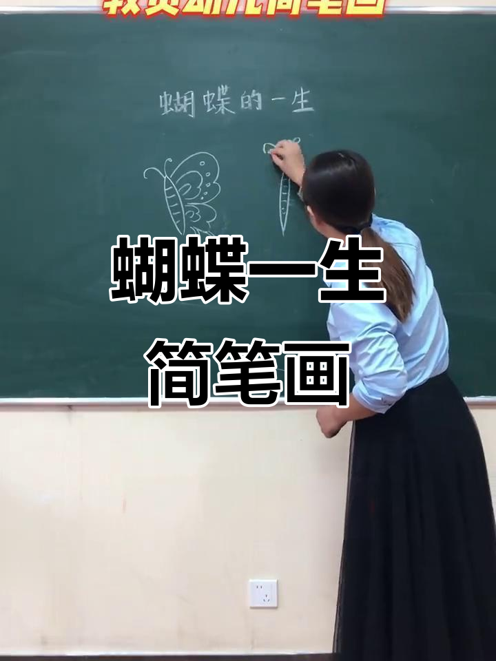 探索蝴蝶的成长之旅,轻松画出它的每个阶段!