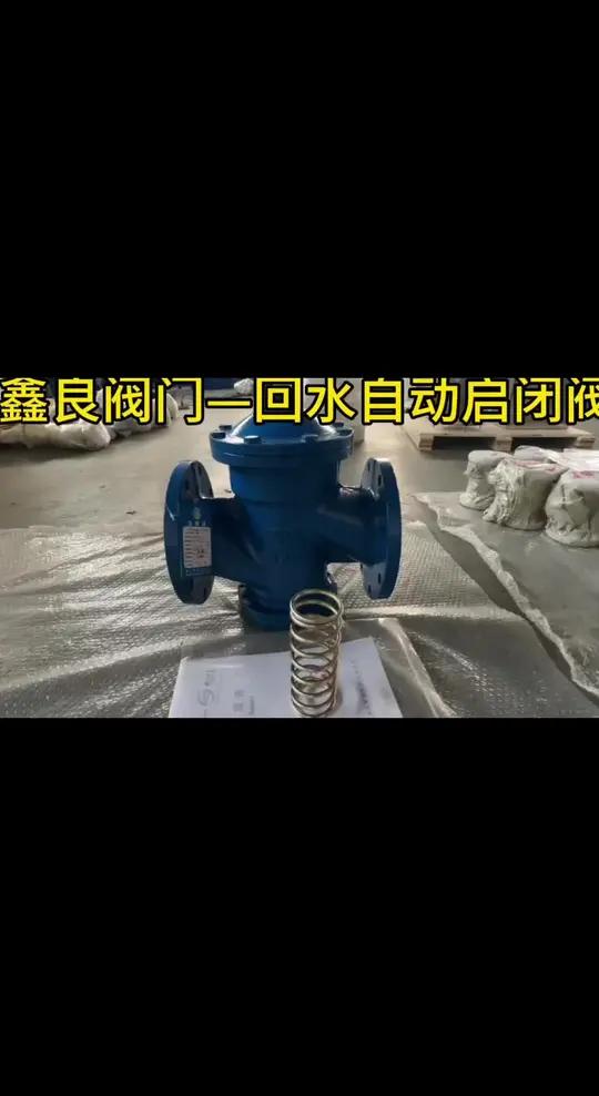 回水自动启闭阀 启闭阀 启闭带除污 不锈钢弹簧 活塞