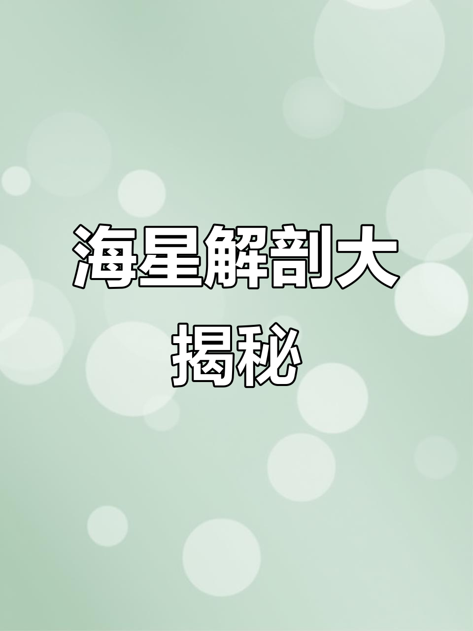 一起动手解剖海星,看看它们的内部结构!