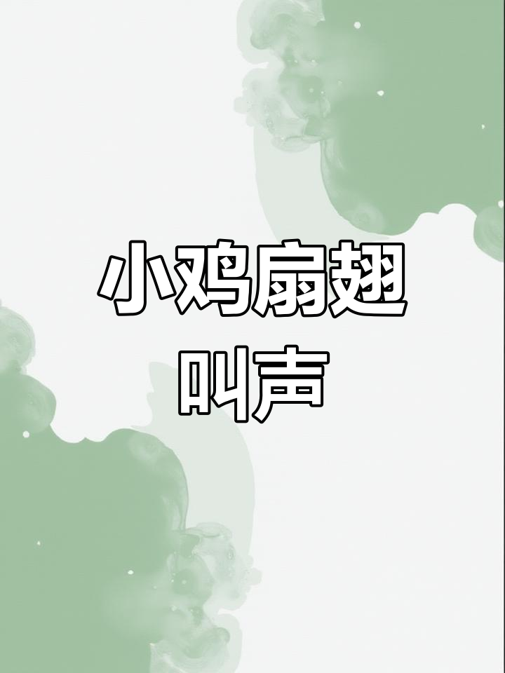 小鸡翅膀扇动的声音,太有趣了!