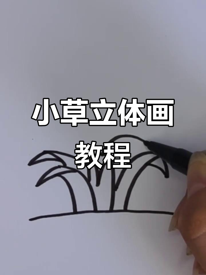 立体小草简笔画,轻松学会零基础