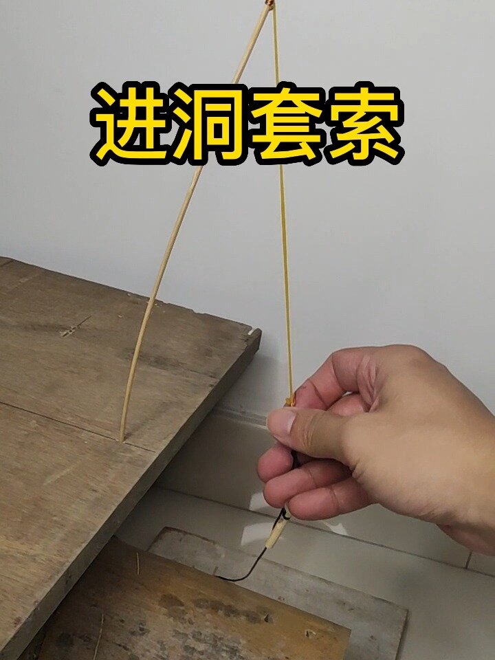 套索陷阱制作图解图片